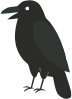Crow watches Viking heating facebook feed