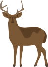 Heat pump quotes deer