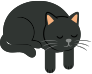 Local boiler experts cat