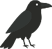 Reliable boiler quotes bird
